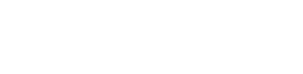 Slides